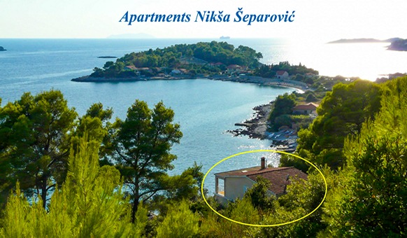 Apartments Niksa - house location